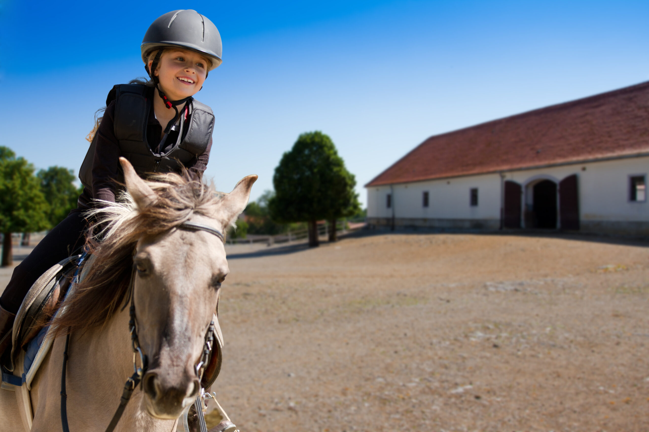 Horse riding lessons. Хорс райдинг. Лошадь для детей. Верховая езда для детей. Подросток на лошади.